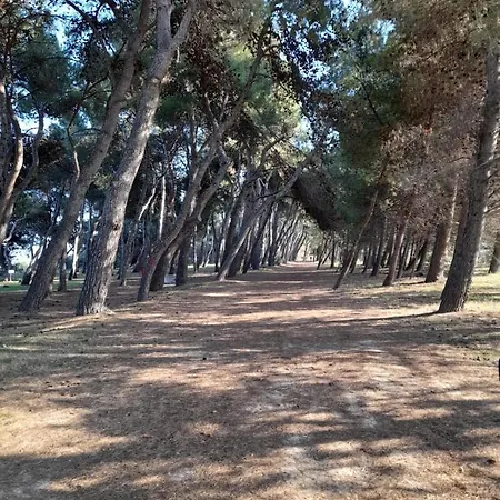 Bouganville Casa Ambiente Climatizzato Con Wi Fi Apartment