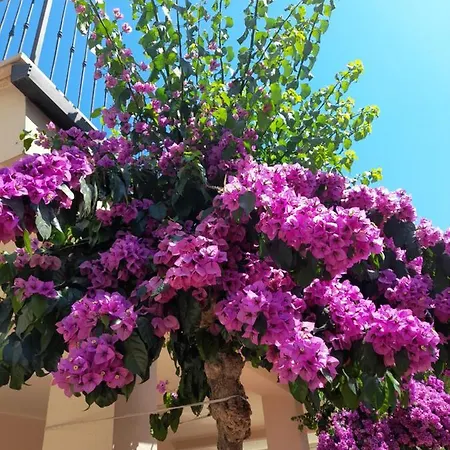 Bouganville Casa Ambiente Climatizzato Con Wi Fi Apartment