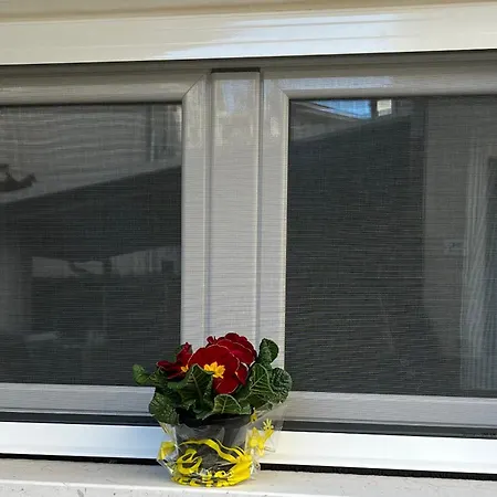 Bouganville Casa Ambiente Climatizzato Con Wi Fi Pineto