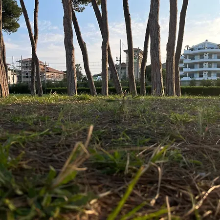 Bouganville Casa Ambiente Climatizzato Con Wi Fi