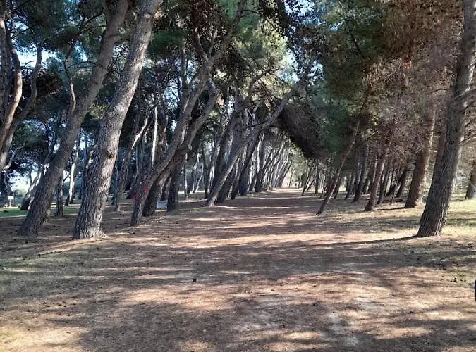 Bouganville Casa Ambiente Climatizzato Con Wi Fi Appartement