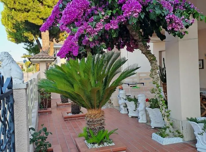 Bouganville Casa Ambiente Climatizzato Con Wi Fi *