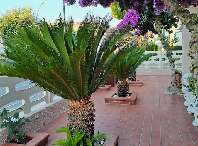 Appartement Bouganville Casa Ambiente Climatizzato Con Wi Fi *