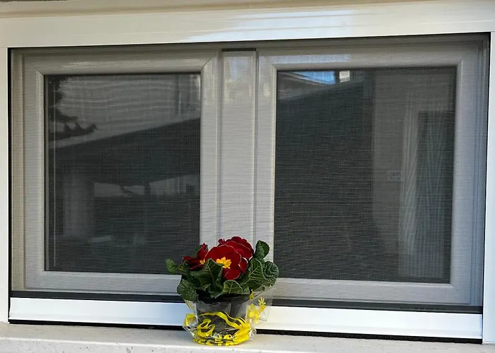 Bouganville Casa Ambiente Climatizzato Con Wi Fi Pineto