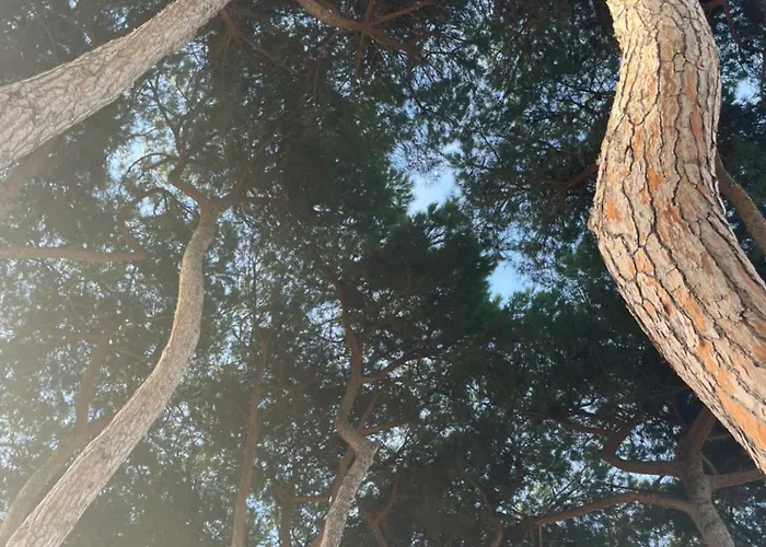 Appartement Bouganville Casa Ambiente Climatizzato Con Wi Fi